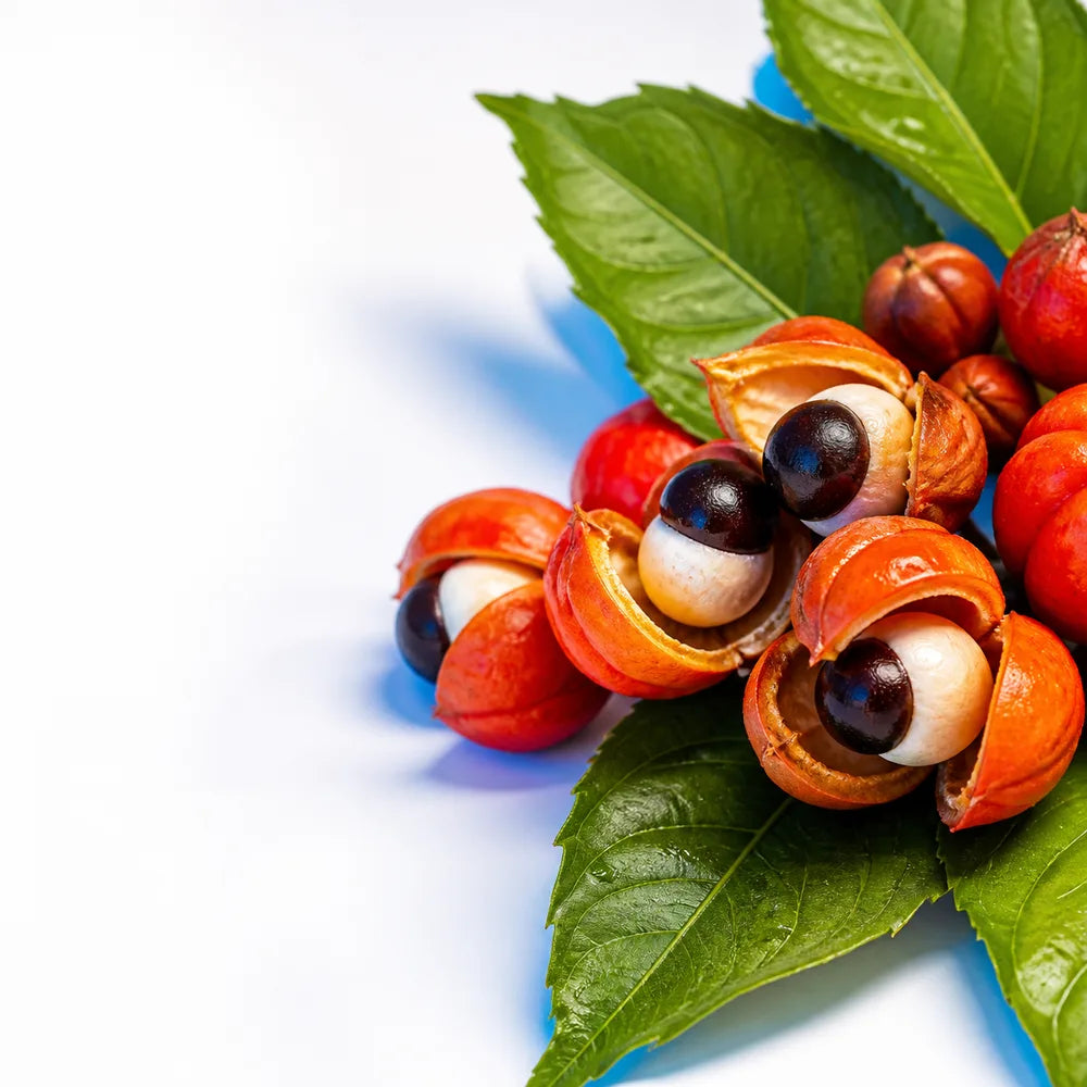 Guarana seed extract